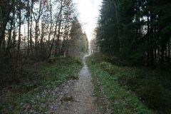 Deutscher Limesradweg